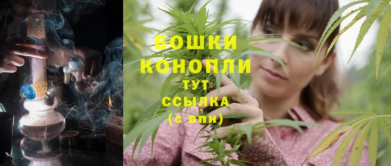 Конопля SATIVA & INDICA  Цимлянск 